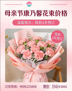 铜仁德江县花店母亲节康乃馨花束