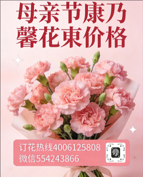 铜仁德江县花店母亲节康乃馨花束